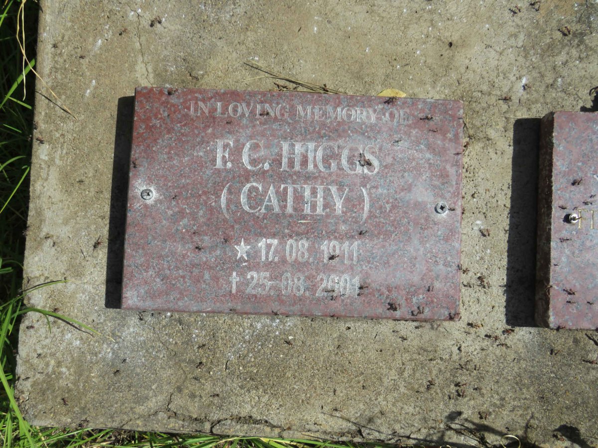 HIGGS F.C. 1911-2001