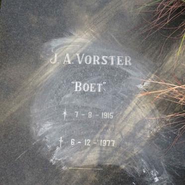 VORSTER J.A. 1915-1977
