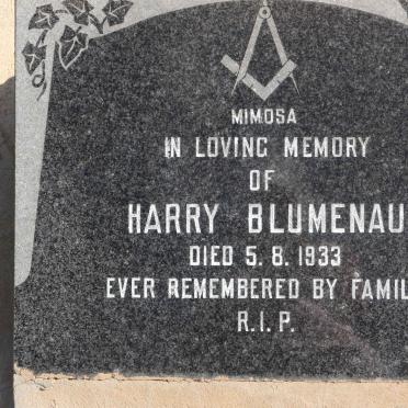 BLUMENAU Harry -1933