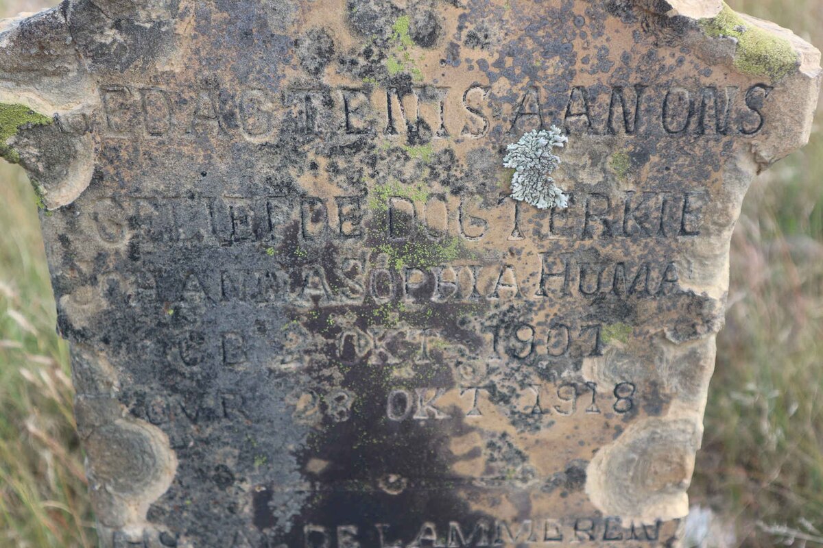 HUMAN Johanna Sophia 1907-1918