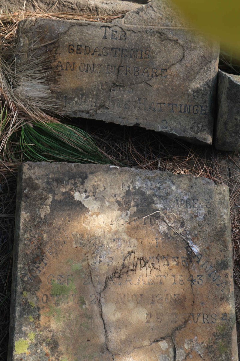 HATTINGH Johannes &amp; Cornelia ?arina Johanna 1843-1903