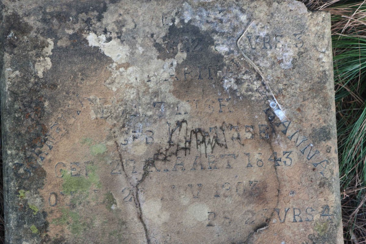 HATTINGH Johannes &amp; Cornelia ?arina Johanna 1843-1903