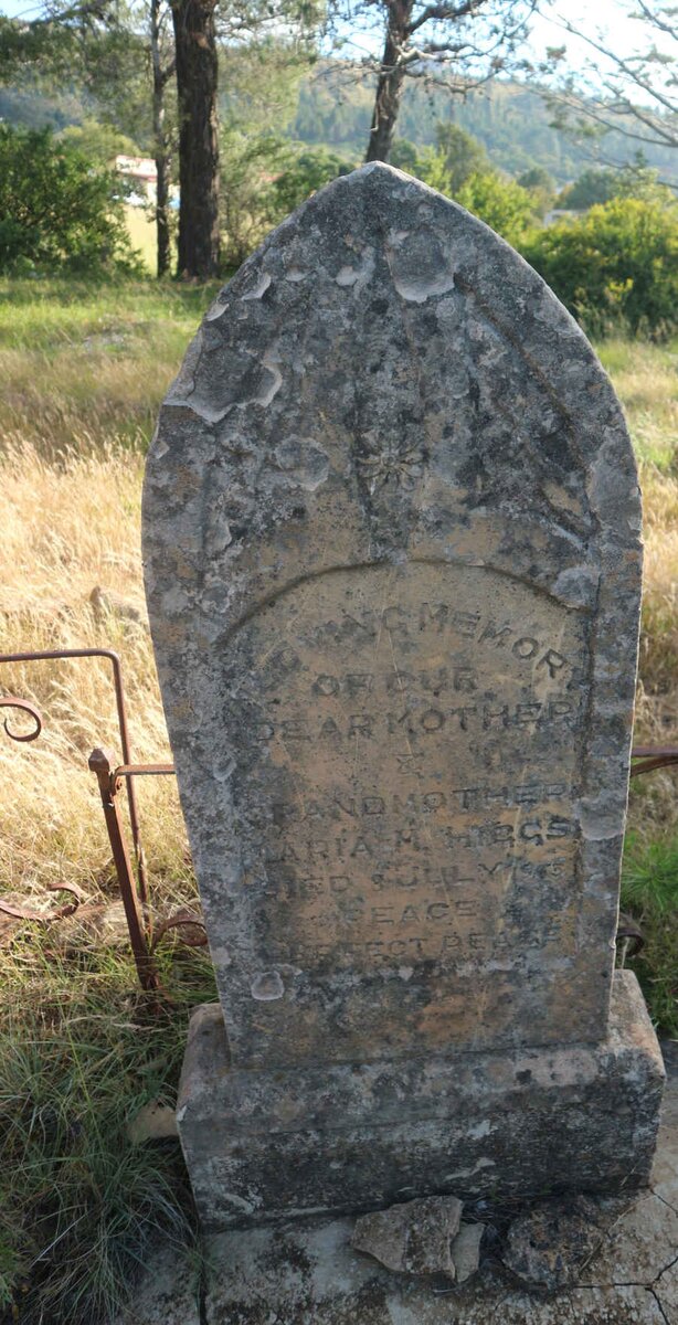 HIGGS Harry Neville 1849-1921 &amp; Maria M. -1953 :: WELSFORD Elizabeth nee HIGGS -1921