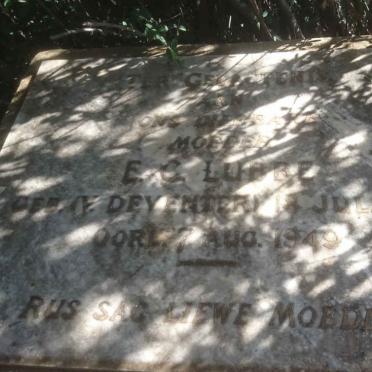 LUBBE E.C. nee v. DEVENTER 1877-1949