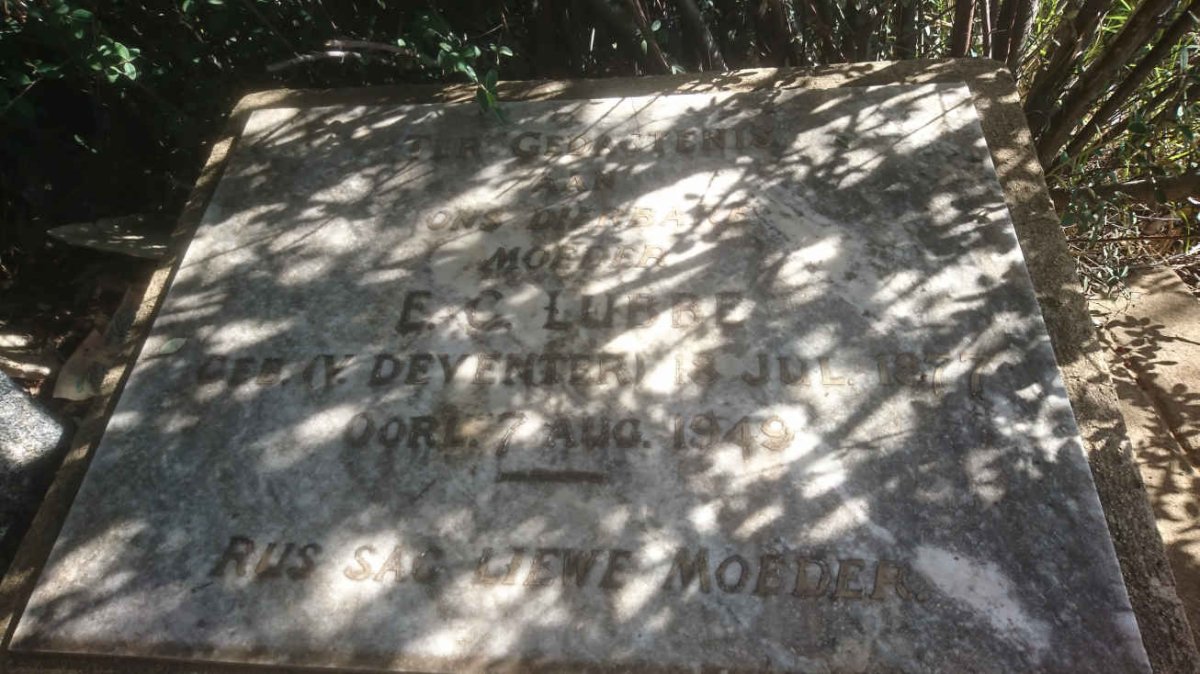 LUBBE E.C. nee v. DEVENTER 1877-1949