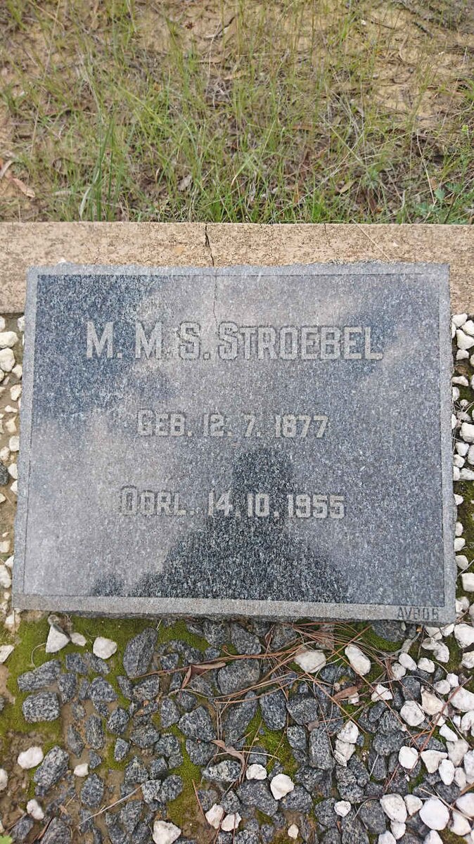 STROEBEL M.M.S. 1877-1955
