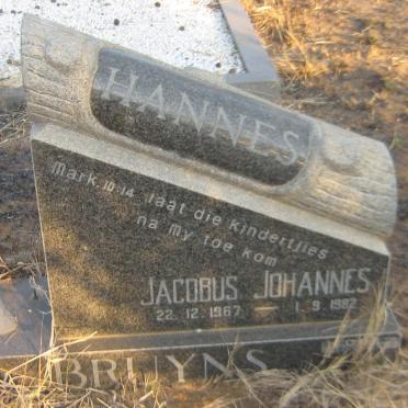 BRUYNS Jacobus Johannes 1967-1982