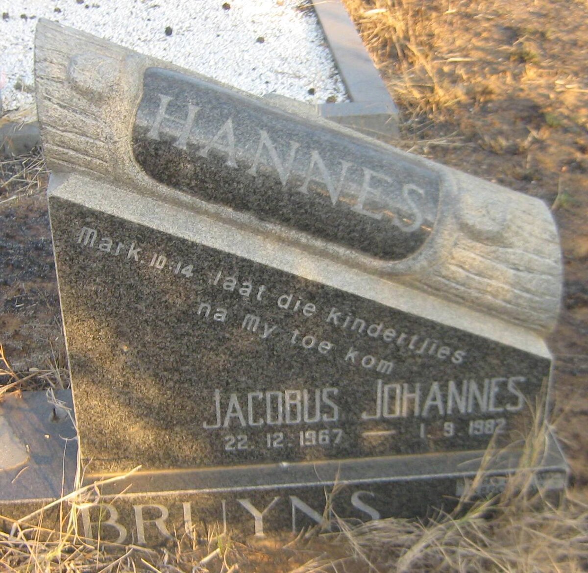 BRUYNS Jacobus Johannes 1967-1982