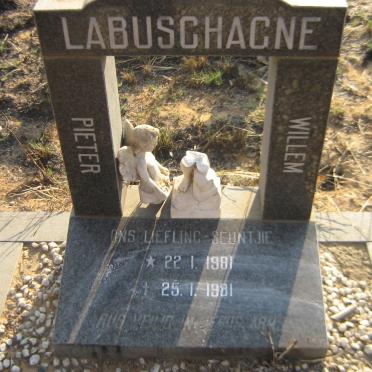 LABUSCHAGNE Pieter Willem 1981-1981