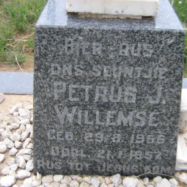 WILLEMSE Petrus J. 1956-1957