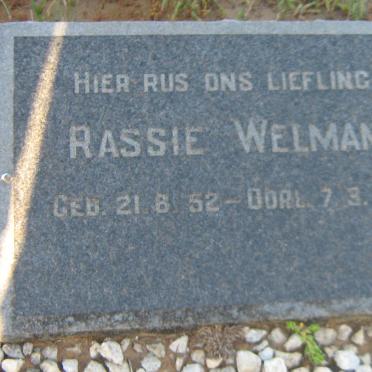 WELMAN Rassie 1952-1955