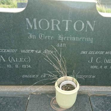 MORTON S.A. -1974 &amp; J.C. -1990