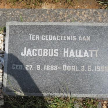 HALLATT Jacobus 1888-1956