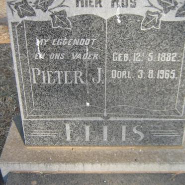 ELLIS Pieter J. 1882-1965