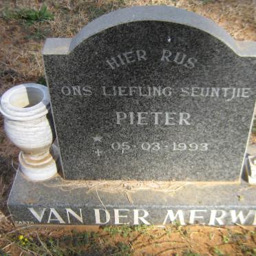 MERWE Pieter, van der 1993-1993