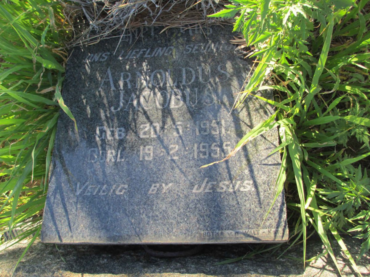 COETZEE Arnoldus Jacobus 1951-1955