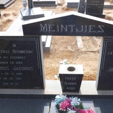 MEINTJIES Petrus Jacobus 1916-1981 &amp; Johanna Aletta 1919-1994