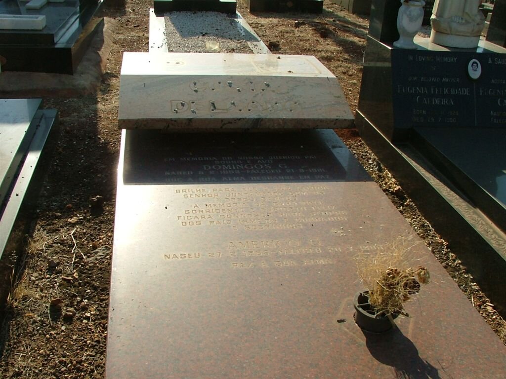 AMERICO G. 1965-1988