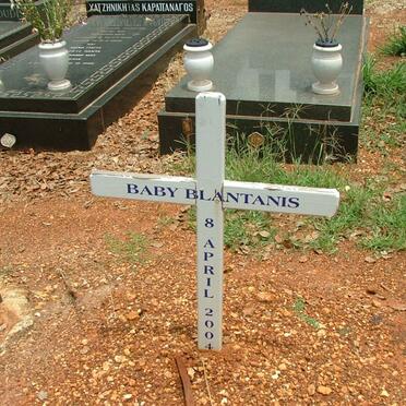 BLANTANIS Baby -2004