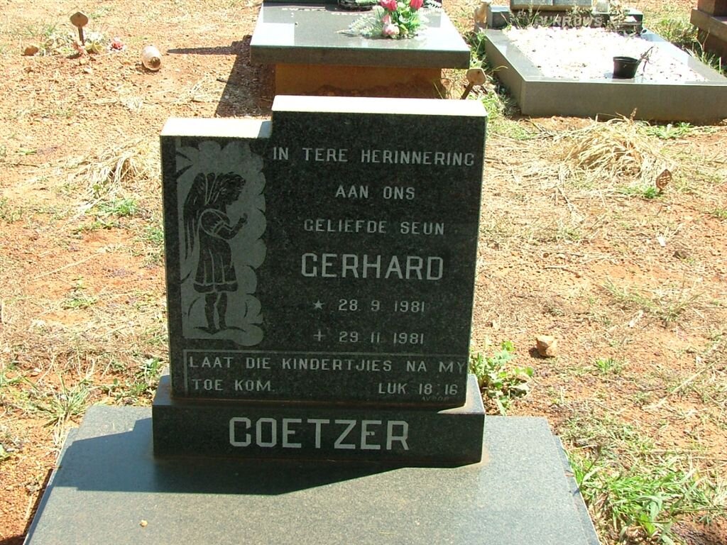 COETZER Gerhard 1981-1981