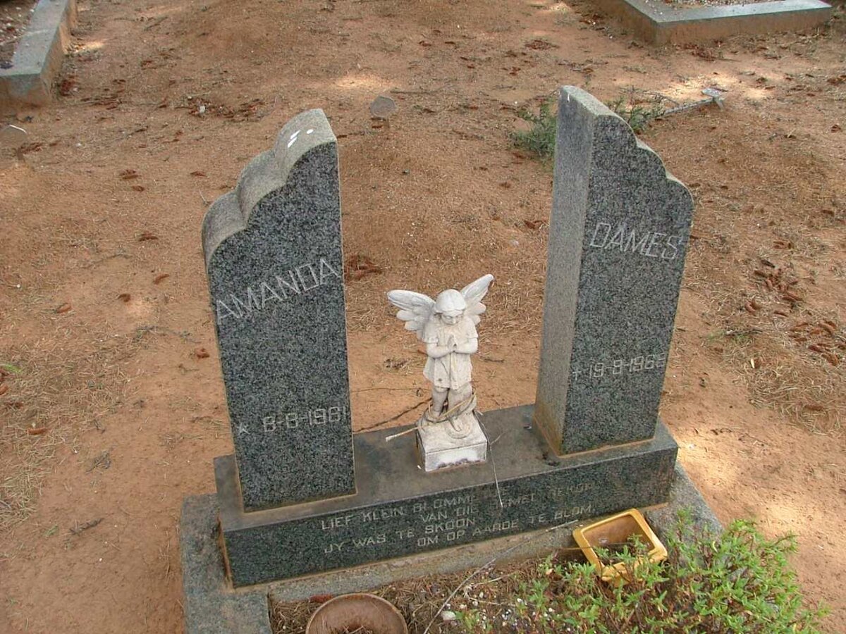 DAMES Amanda 1961-1968