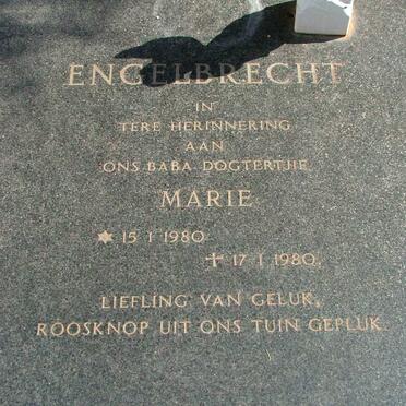 ENGELBRECHT Marie 1980-1980