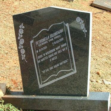 GILLINGHAM Petronella nee VAN DRIEL 1951-2001