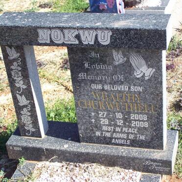 NOKWU Wealthy Chukwuthell 2008-2008