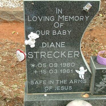 STRECKER Diane 1960-1961