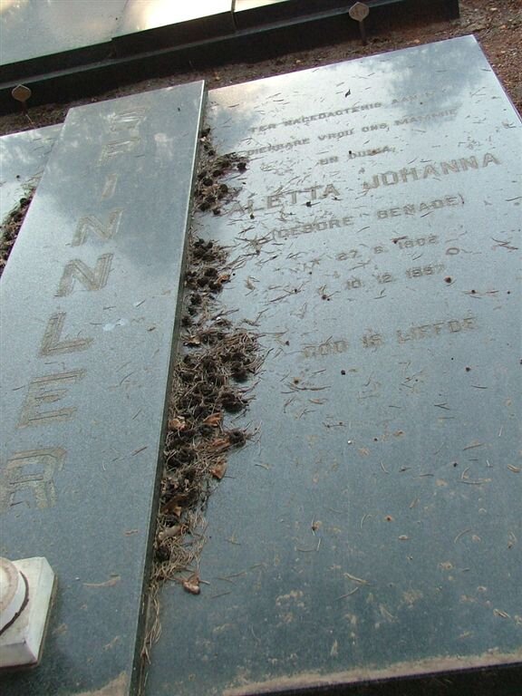 SPINNLER Aletta Johanna nee BENADE 1902-1957