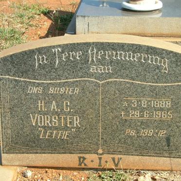 VORSTER H.A.G. 1888-1965