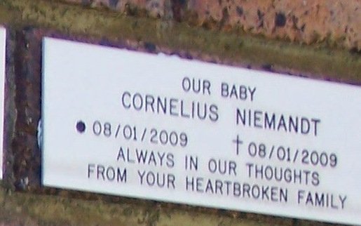 NIEMANDT Cornelius 2009-2009