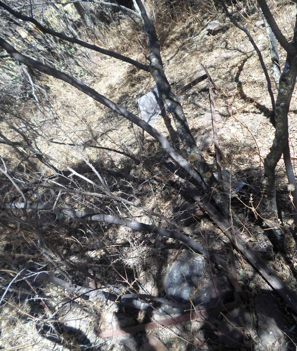 1. Oorsig / Overview