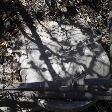 BIERMAN Adolf Siegfried 1827-1902