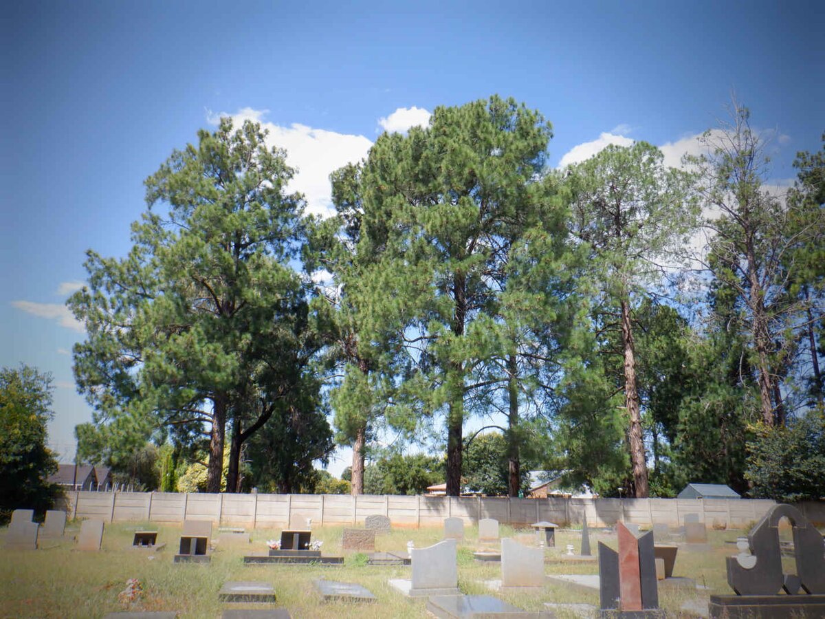 1. Overview / Oorsig