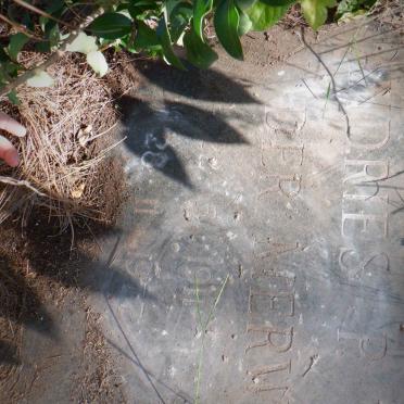 MERWE Andries P., van der 1911-1977