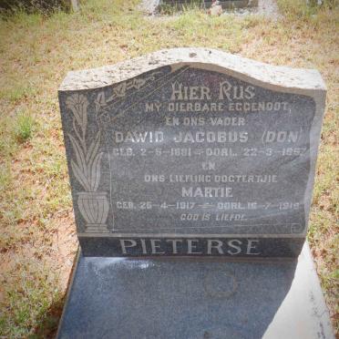 PIETERSE Dawid Jacobus 1881-1957 :: PIETERSE Martie 1917-1918