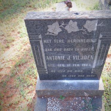 VILJOEN Antonie J. 1964-1964