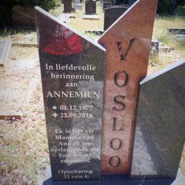 VOSLOO Annemien 1977-2016