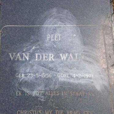 WALT Peet, van der 1956-1976