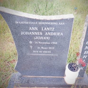 COMBRINK Ann Lantz Johannes Andriea 1950-2012
