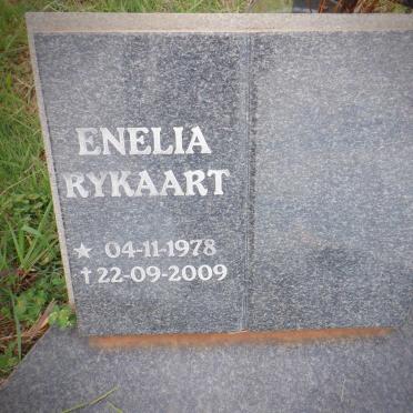RYKAART Enelia 1978-2009