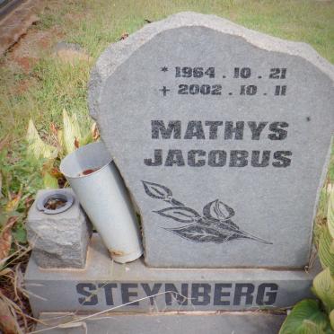 STEYNBERG Mathys Jacobus 1964-2002