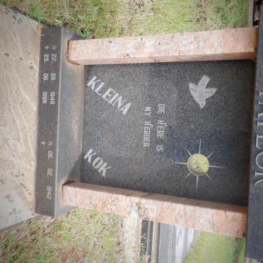 TAYLOR Kok 1942- &amp; Kleina 1949-1998