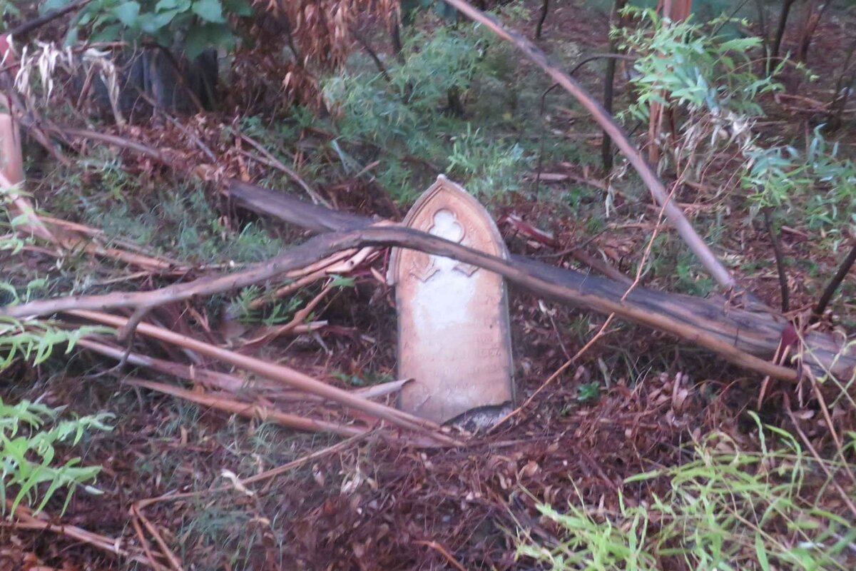 PREEZ Andries Petrus Jacobus, du 1853-1918