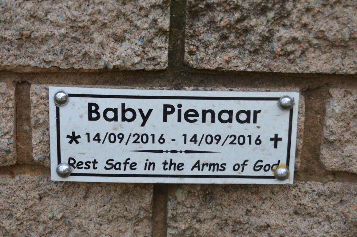 PIENAAR Baby 2016-2016