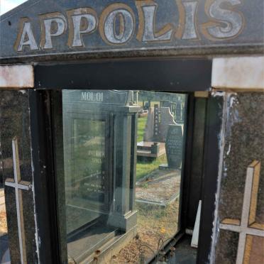 APPOLIS Vincent 1973-2005