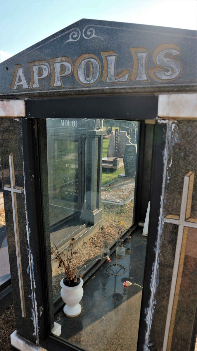 APPOLIS Vincent 1973-2005