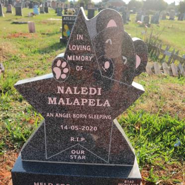 MALAPELA Naledi 2020-2020