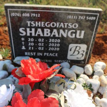SHABANGU Tshegofatso 2020-2020